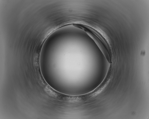 X0000090921001200707301529