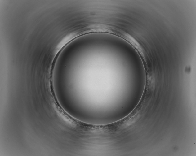 X0000090921002200707301529