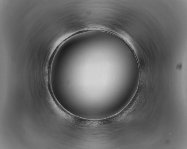 X0000090921003200707301529