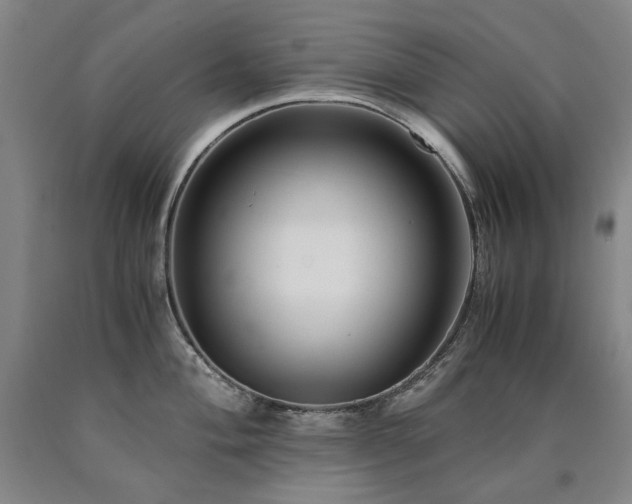 X0000090921004200707301529