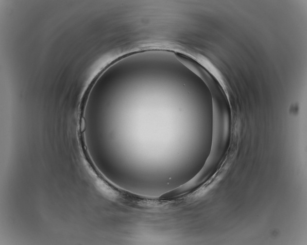 X0000090921005200707301529