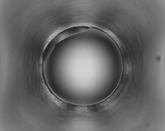 X0000090921006200707301529