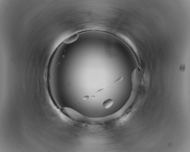 X0000090921007200707301529