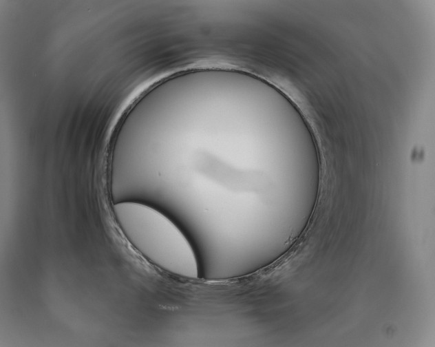 X0000090921008200707301529