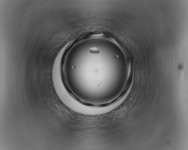 X0000090921010200707301528