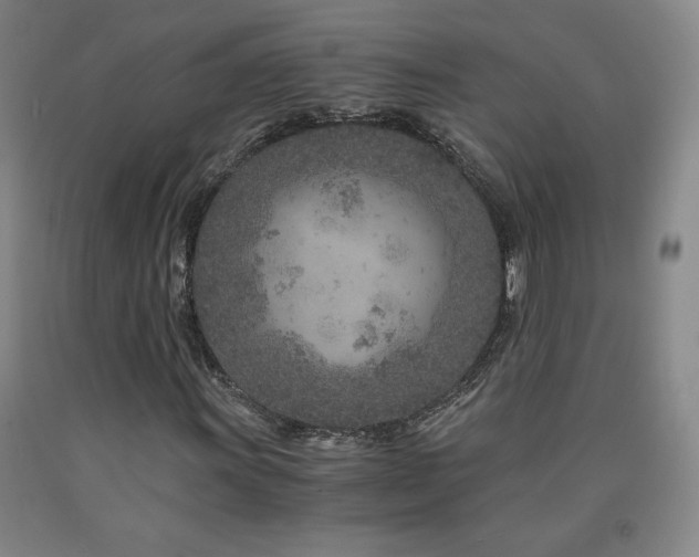 X0000090921011200707301528