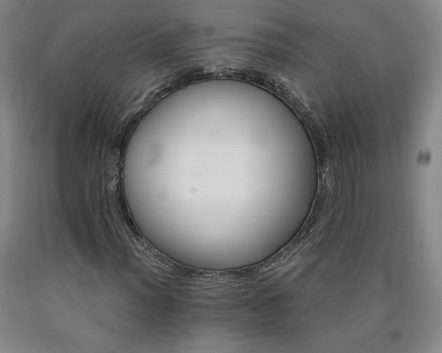 X0000090921012200707301528