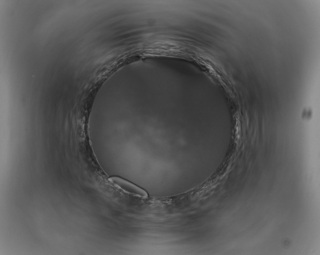 X0000090921013200707301529