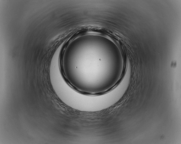 X0000090921014200707301529