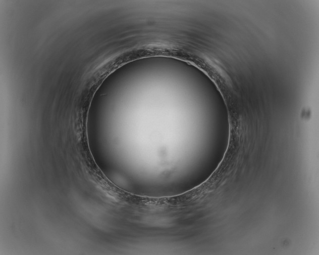 X0000090921015200707301529