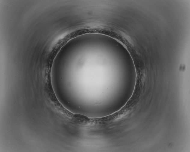 X0000090921016200707301529
