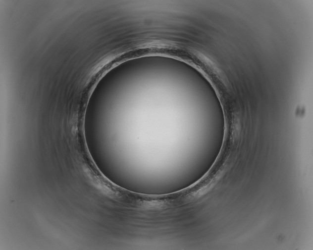 X0000090921017200707301529
