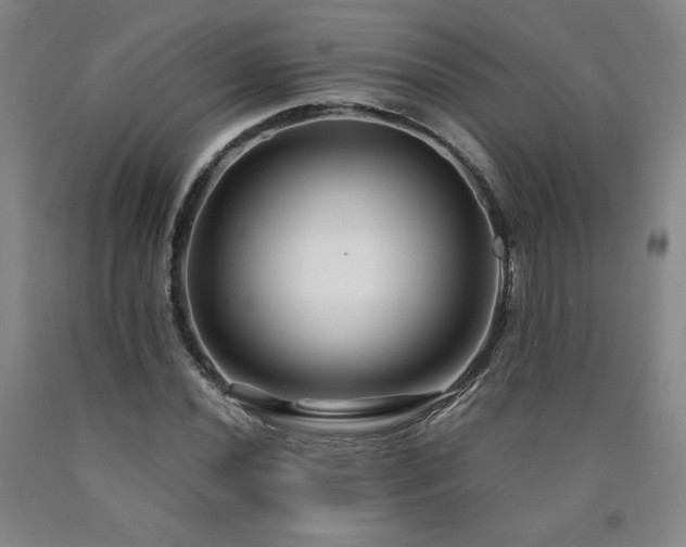 X0000090921020200707301529