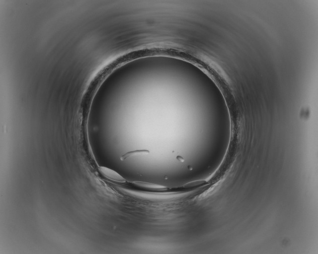 X0000090921021200707301529