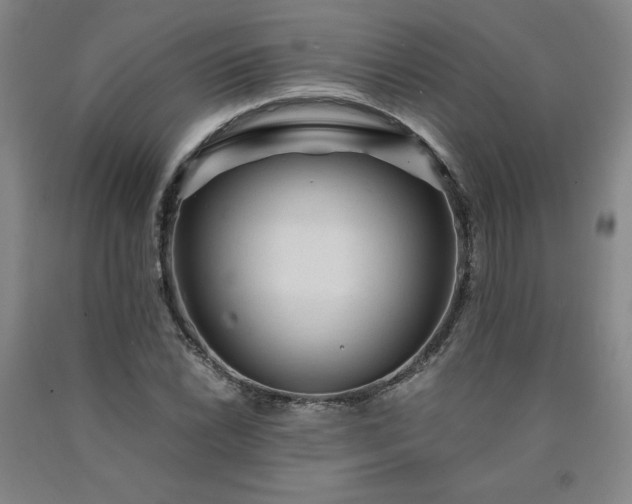X0000090921022200707301529