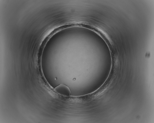 X0000090921023200707301529