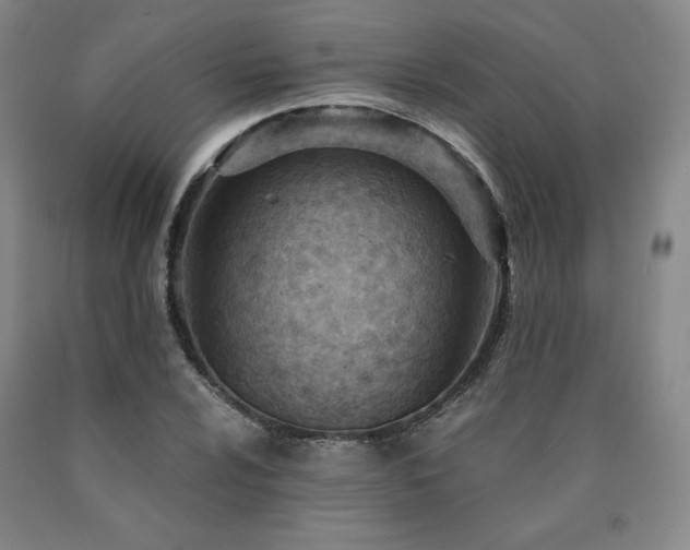 X0000090921024200707301529