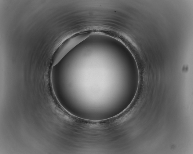 X0000090921025200707301529