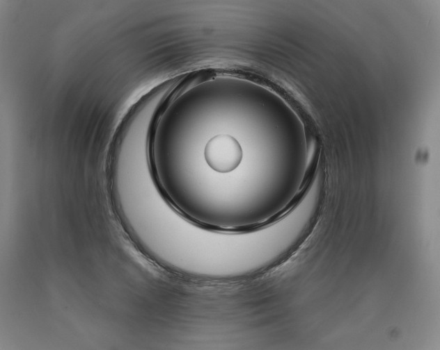 X0000090921026200707301529