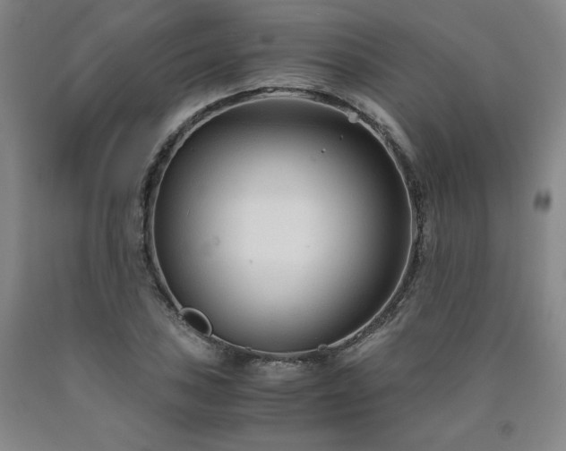 X0000090921027200707301529