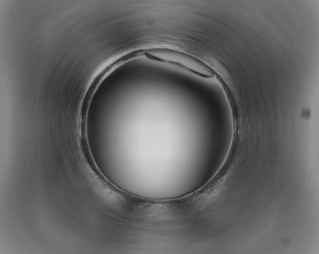 X0000090921028200707301529