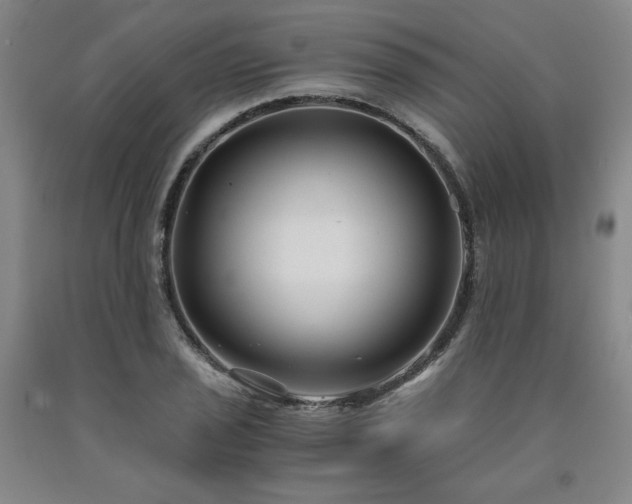 X0000090921029200707301529