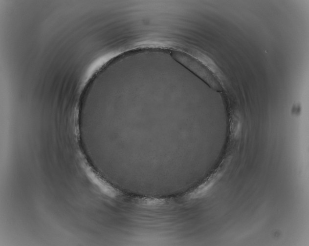 X0000090921030200707301529