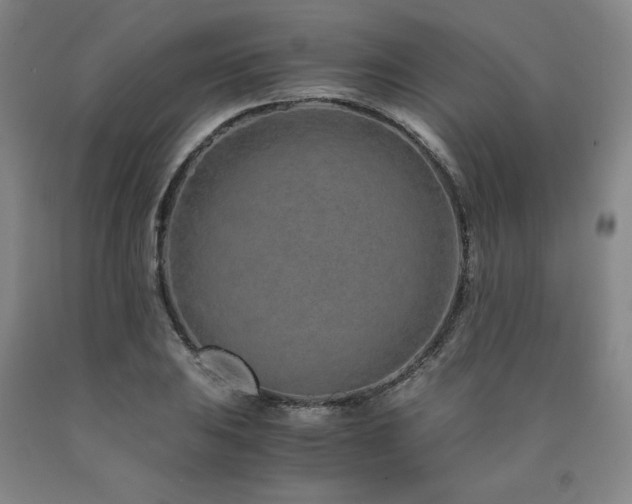 X0000090921031200707301529