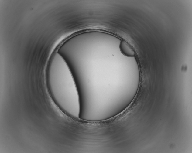 X0000090921032200707301529