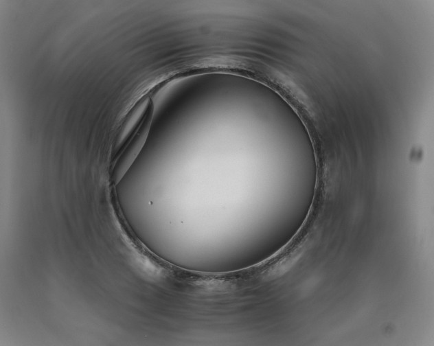 X0000090921033200707301529