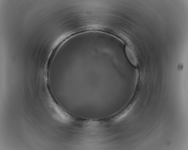 X0000090921034200707301529