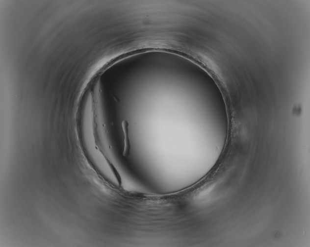 X0000090921035200707301529