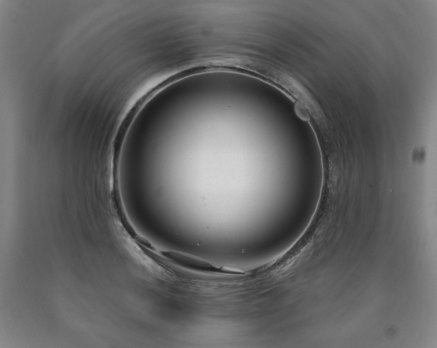 X0000090921036200707301529