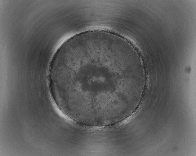 X0000090921038200707301529