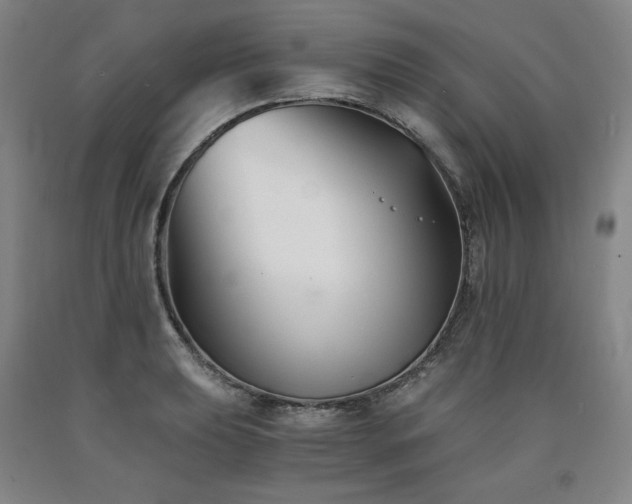 X0000090921039200707301529