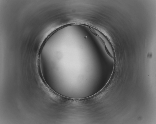 X0000090921040200707301529
