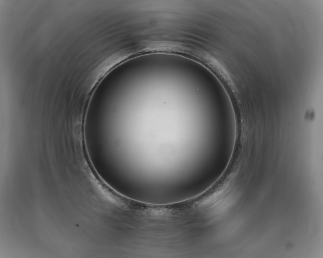 X0000090921041200707301529