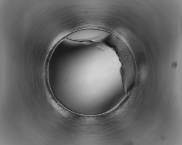 X0000090921042200707301529