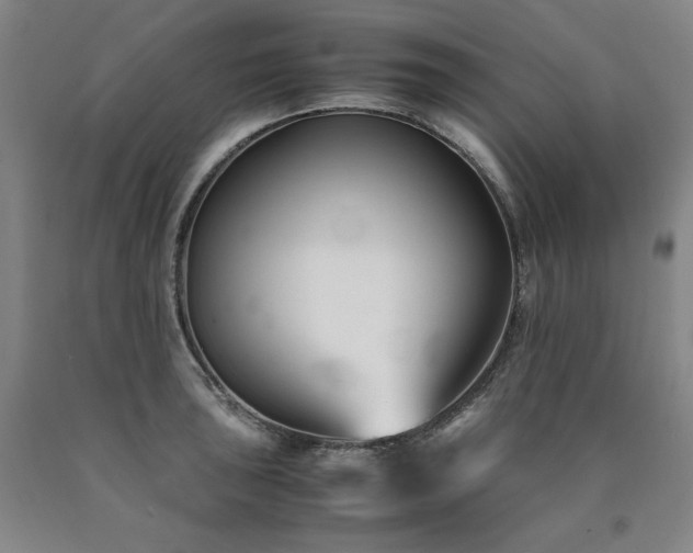X0000090921043200707301529