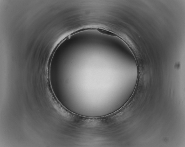 X0000090921044200707301529
