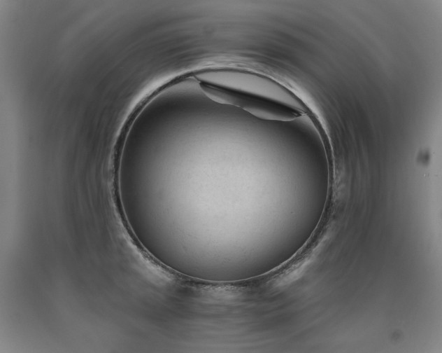X0000090921045200707301529