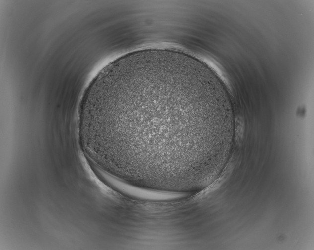 X0000090921046200707301529
