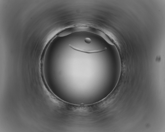 X0000090921047200707301529