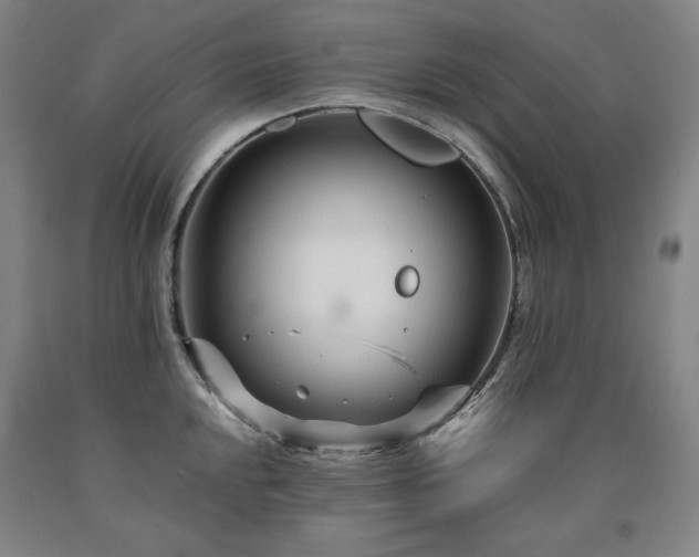 X0000090921048200707301529