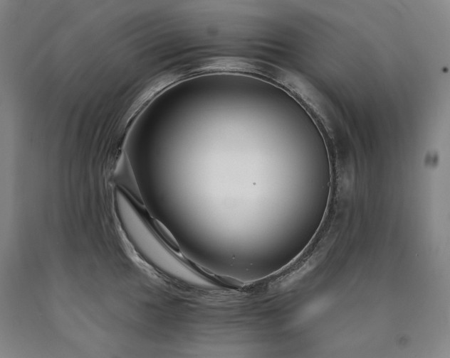 X0000090921049200707301529