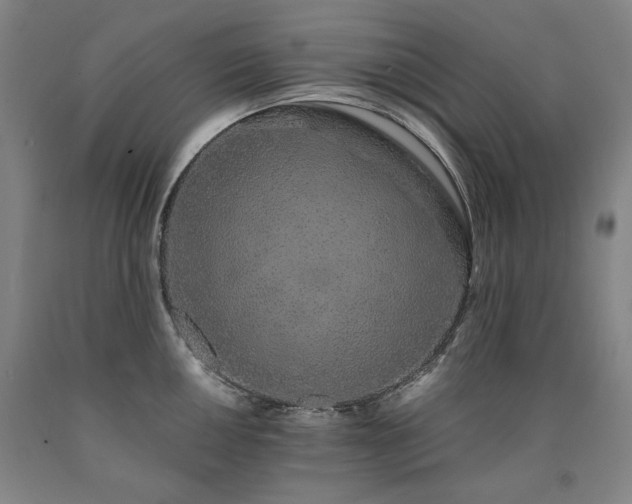 X0000090921050200707301529