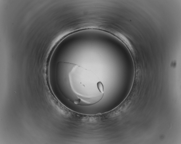 X0000090921051200707301529