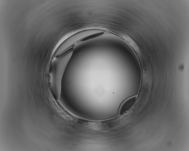 X0000090921052200707301529