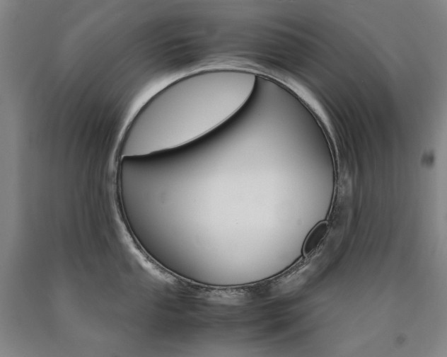 X0000090921053200707301529