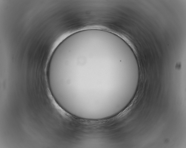 X0000090921054200707301529
